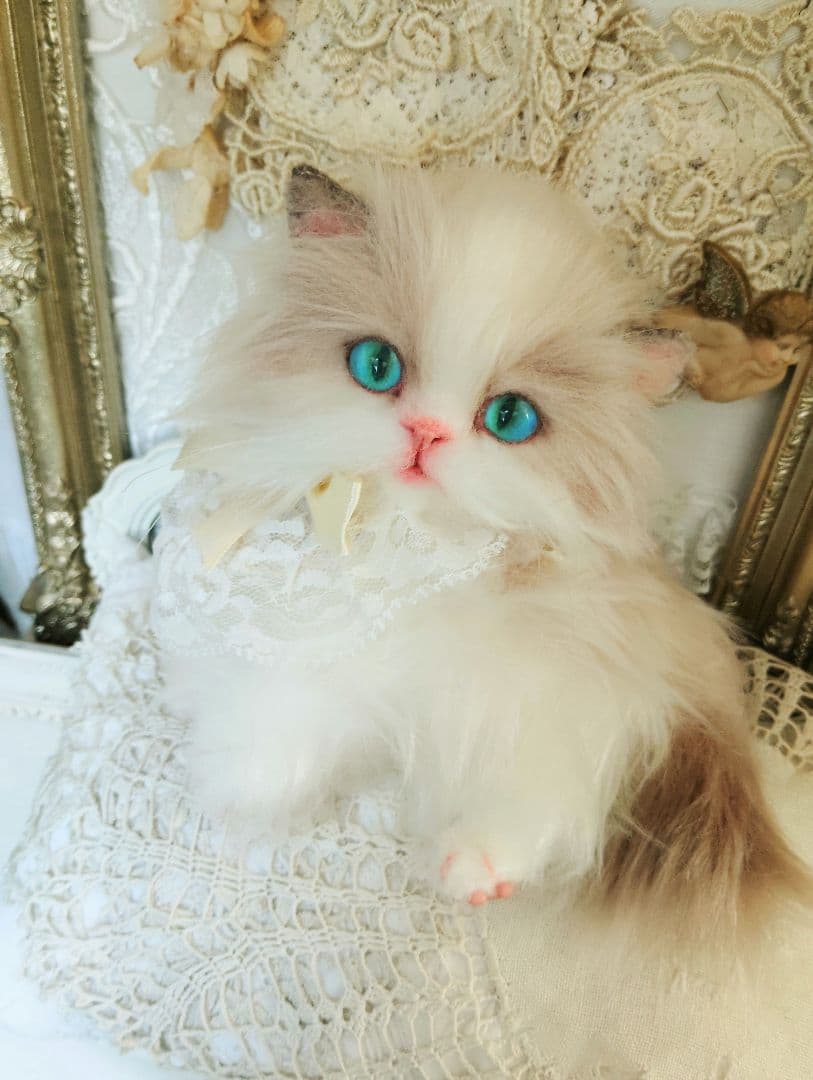 ラグドール♡美人猫♡生後6ヶ月子猫ちゃん♡アートドール♡ぬいぐるみ♡