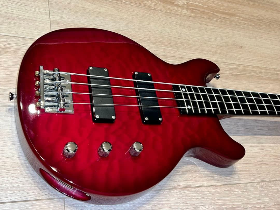 EDWARDS E-J-140 Fire Red LUNA SEA Jモデル