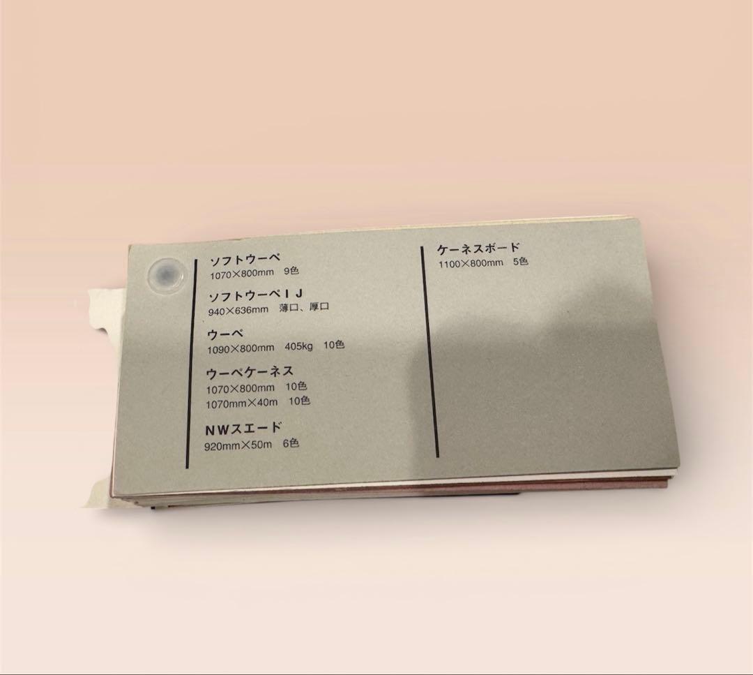 用紙見本帖　6種　加工紙 型柄ファンシー ポリプロピレンシート他