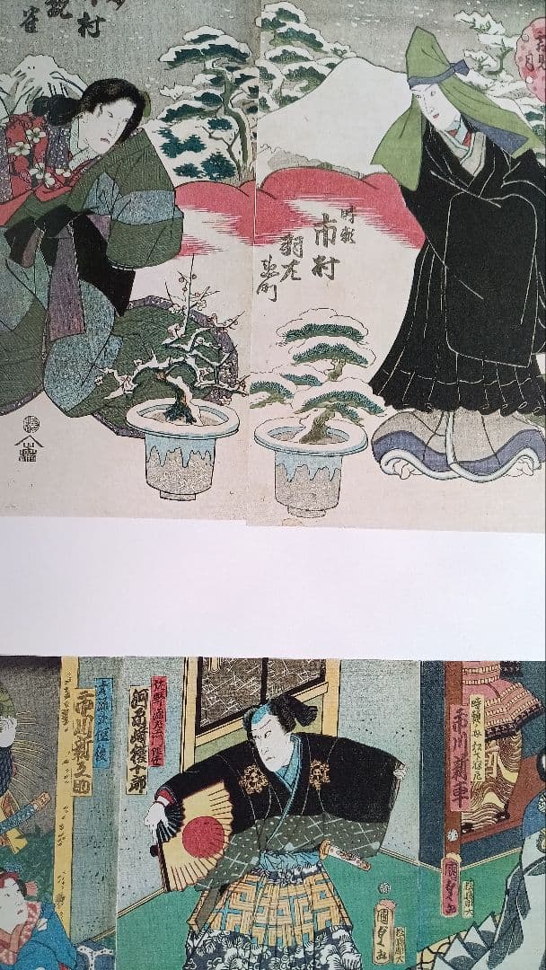 h*ん様 図録　特別展　江戸園芸花尽し