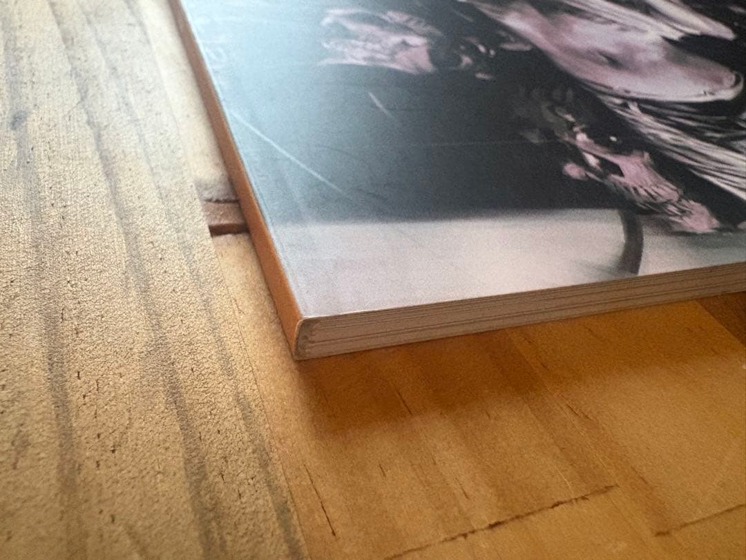 THE ROOTS 内田パブロ（Pablo Uchida）画集