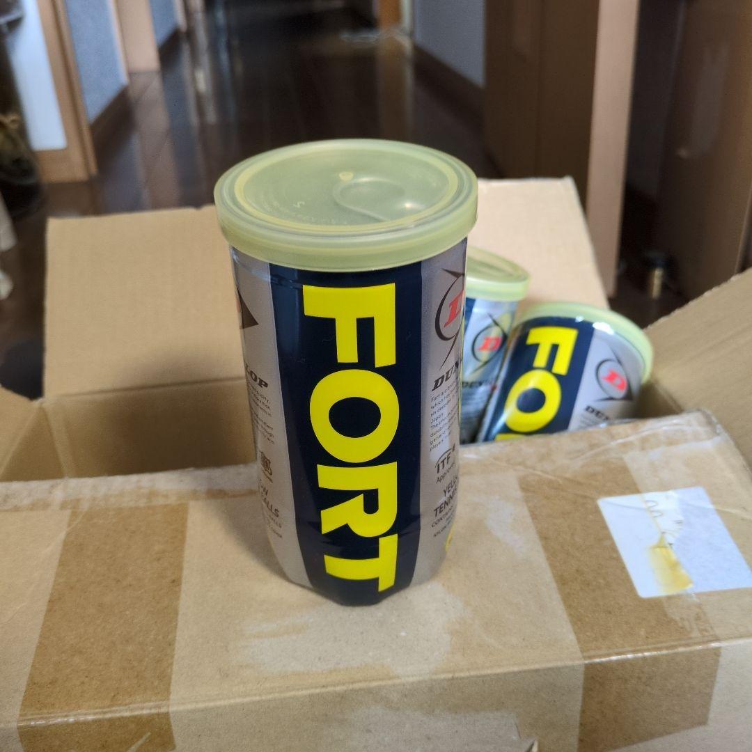 ダンロップフォート2個入り10缶　新品