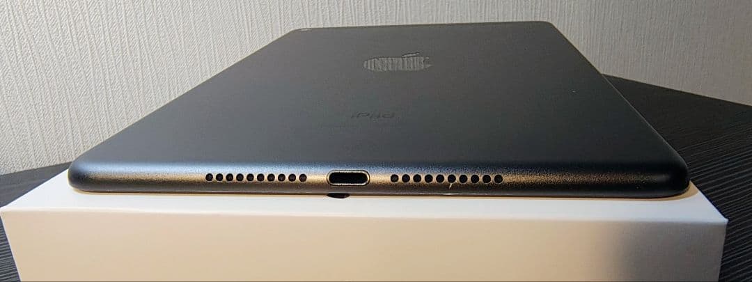 Apple iPad mini 5 スペースグレー セルラー256GBおまけ付き