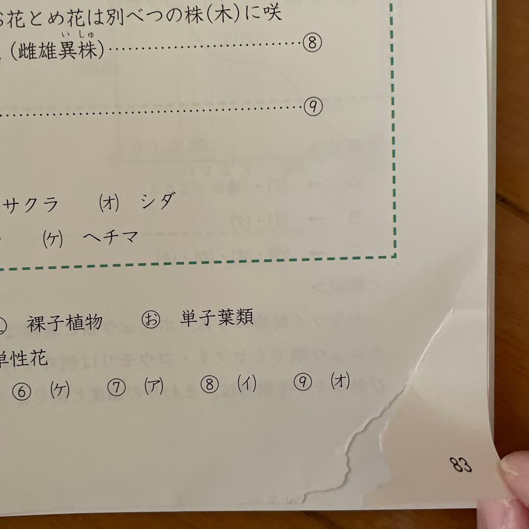 四科のまとめ