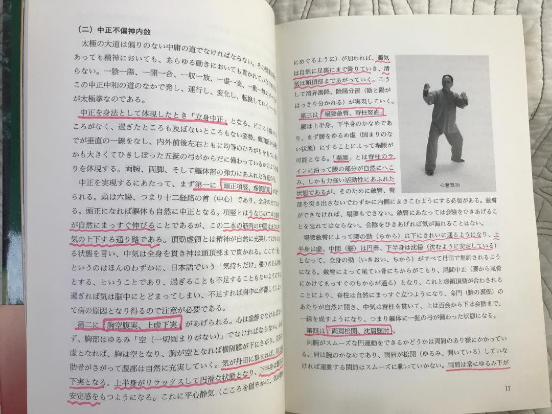 「陳式心意混元太極拳: 馮志強真伝」 馮志強