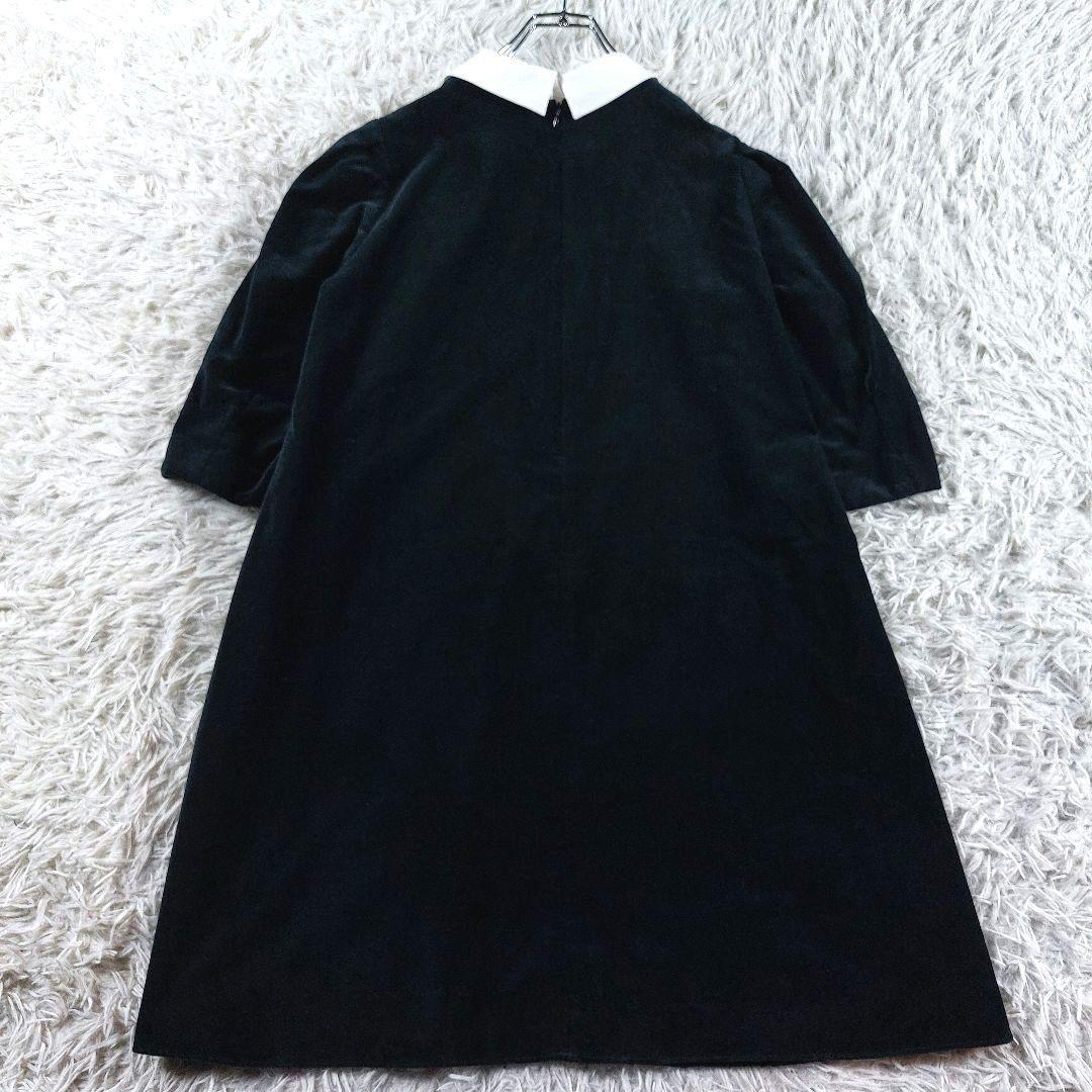 近年モデル PAMEO POSE ベロア 白い襟 バイカラー Aラインワンピース