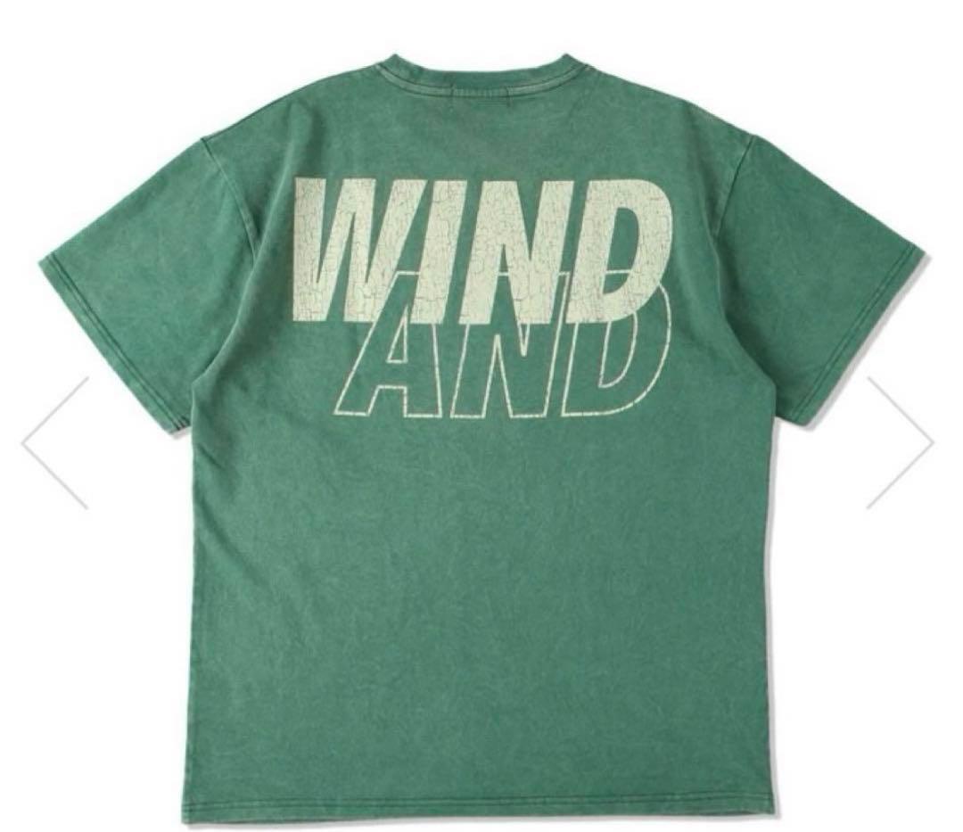 緑wind and sea SEA (CRACK-P-DYE) S/S TEE