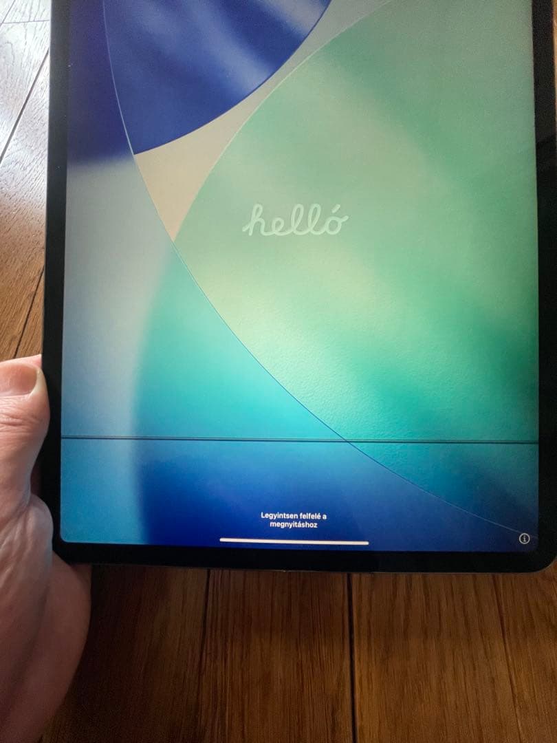 iPad Pro 512ギガ スペースグレー 本体　cellularモデル