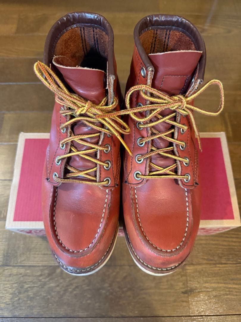 Red Wingレッドウイング 8875 アイリッシュセッター希少サイズ US5