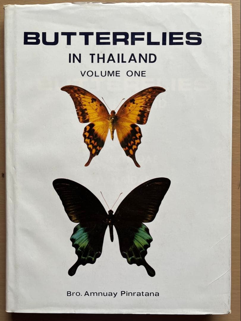 BUTTERFLIES IN THAILAND 全6巻セット