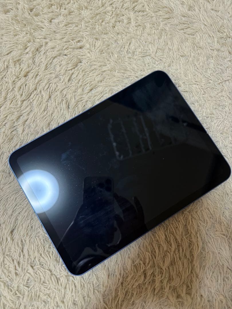 Ipad 10 世代 本体 ブルー 256 GB