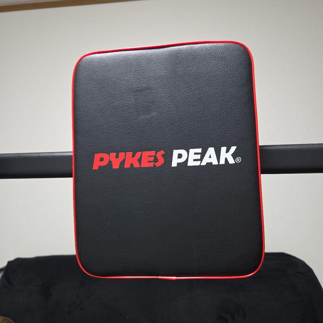 PARKS PEAK ぶら下がり健康器 高さ調整可能