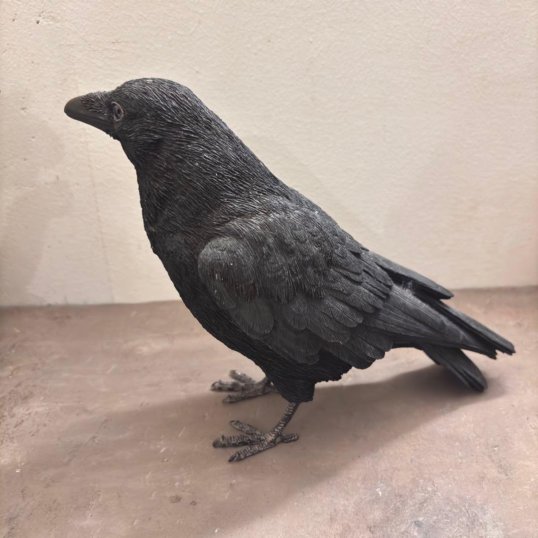 ペットバンク　貯金箱　カラス　オブジェ