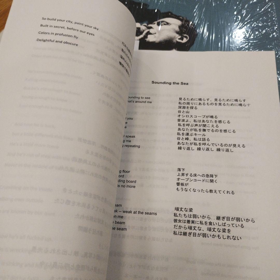 HAMMERED HULLS / CAREENING / DISCHORD名盤