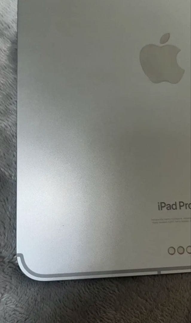 iPad本体 Chaser