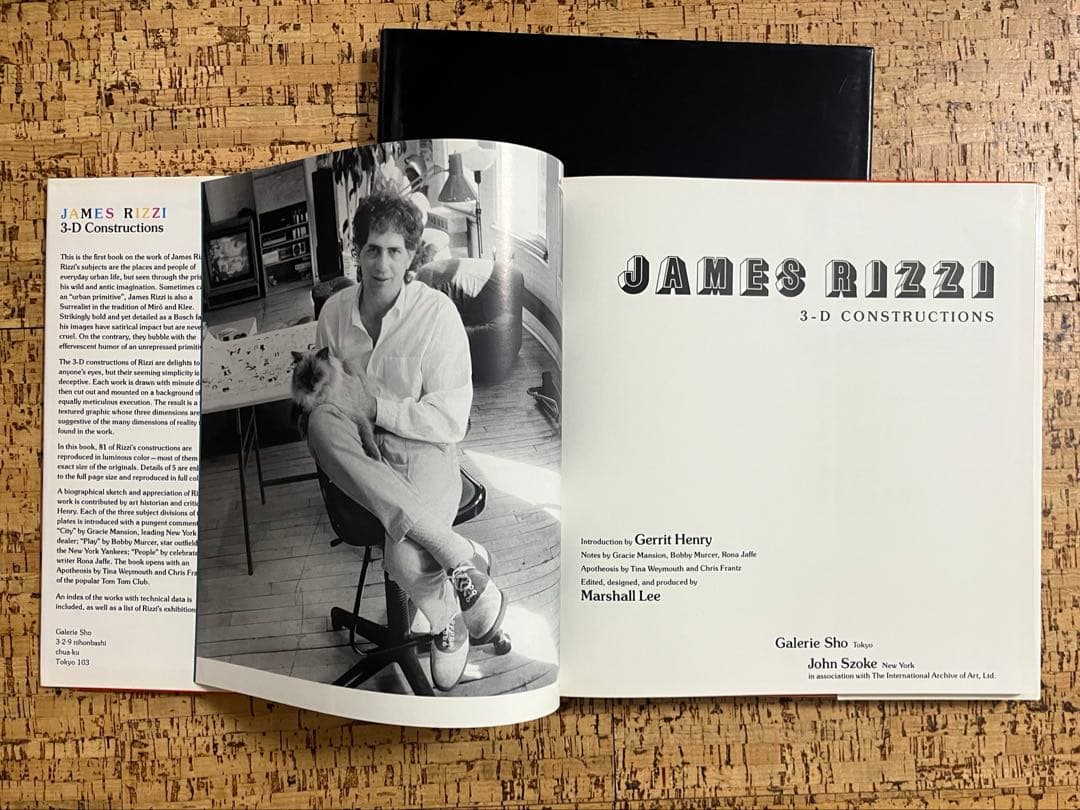 【美品/絶版/セット割】ジェームス・リジィ 画集2冊」JAMES RIZZI