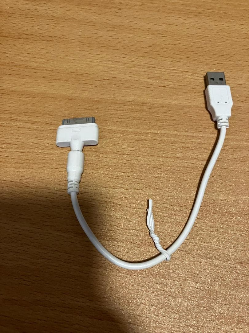 Apple iPod 120GB（ジャック・カバー含め）