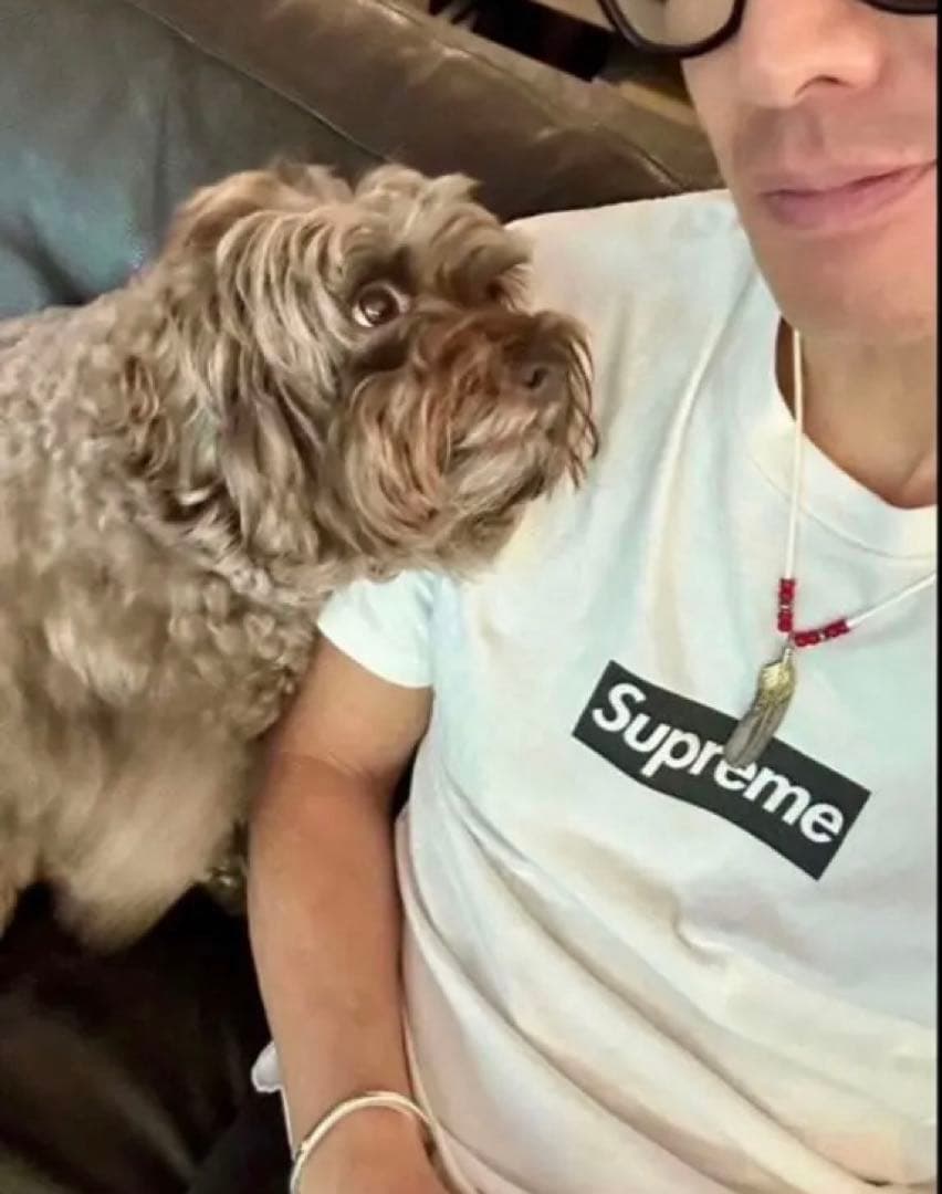 Supreme 16SS Paris Box Logo Tシャツ XL正規品