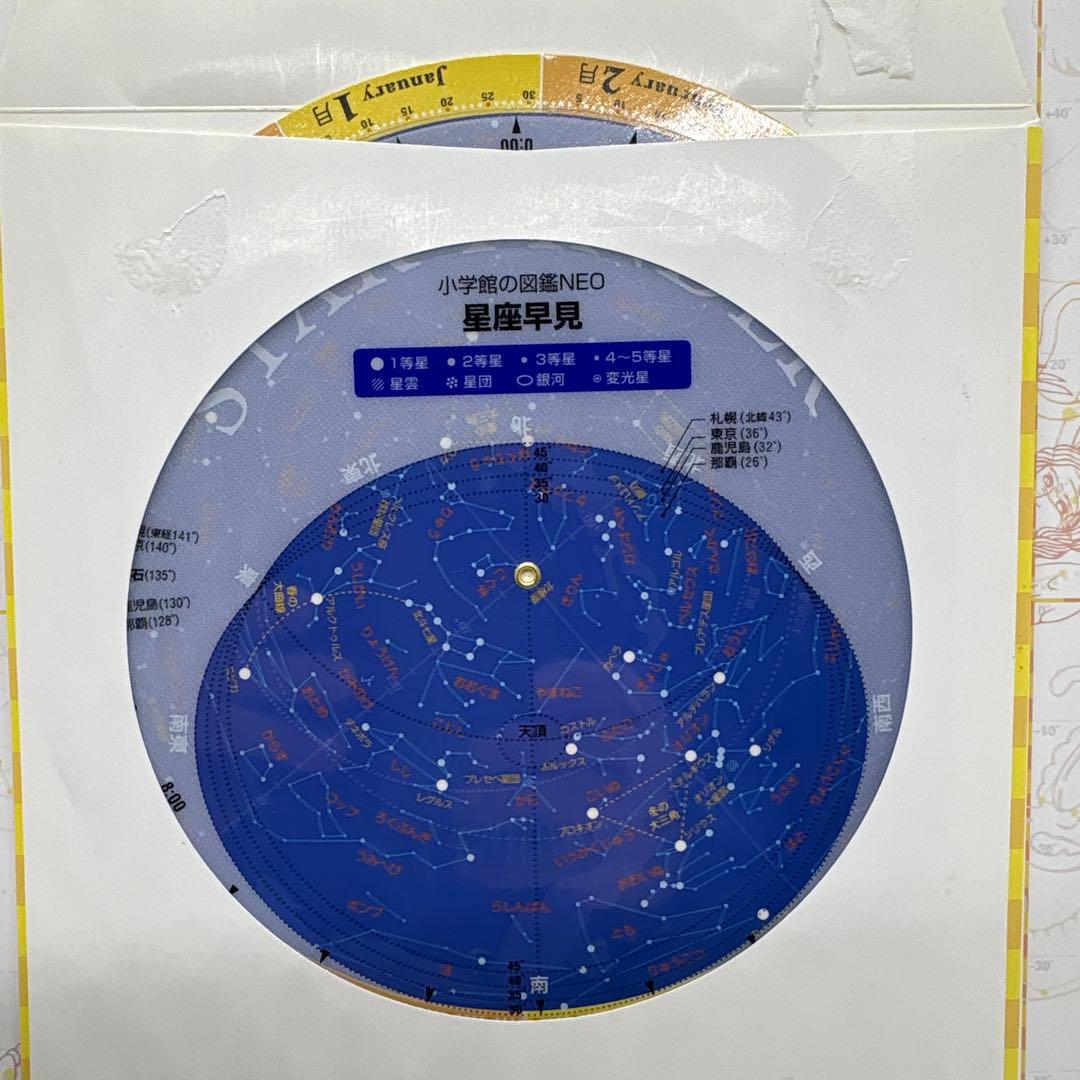 小学館の図鑑NEO 10冊セット