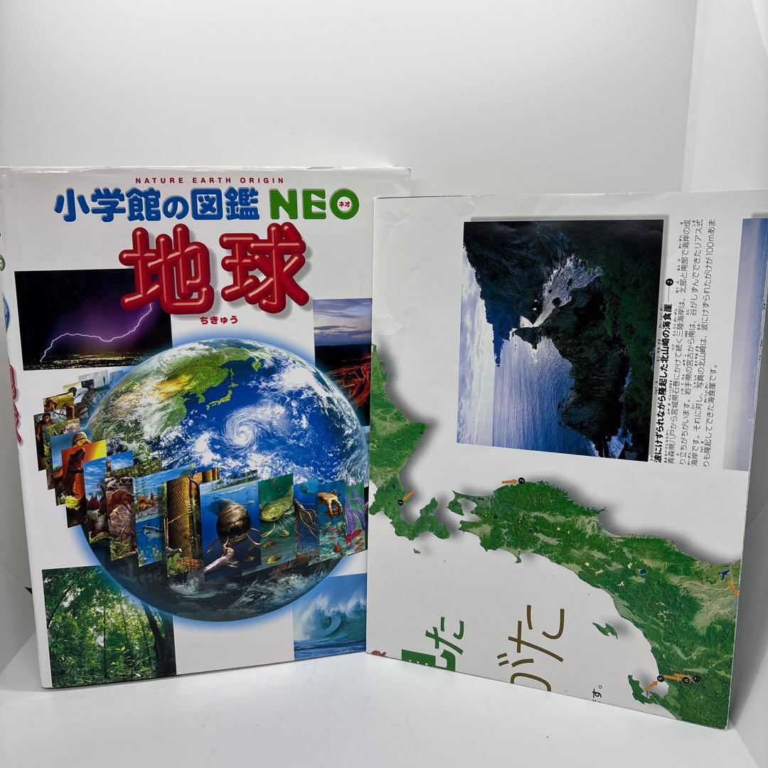 小学館の図鑑NEO 10冊セット