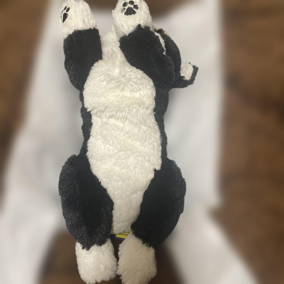サンレモン　柴犬　ぬいぐるみ