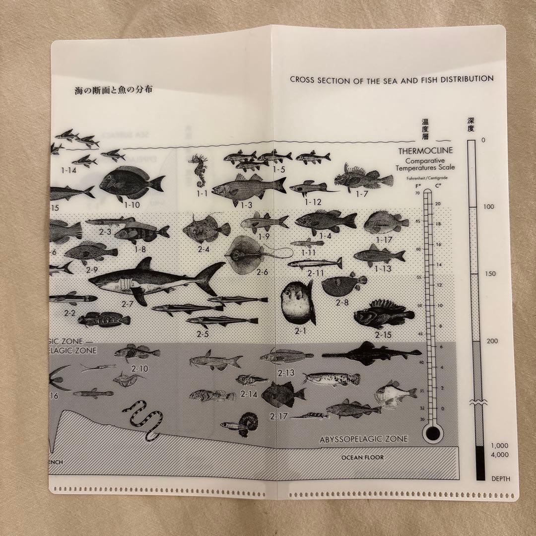 魚図鑑 （初回生産限定盤A）2CD+DVD+魚図鑑