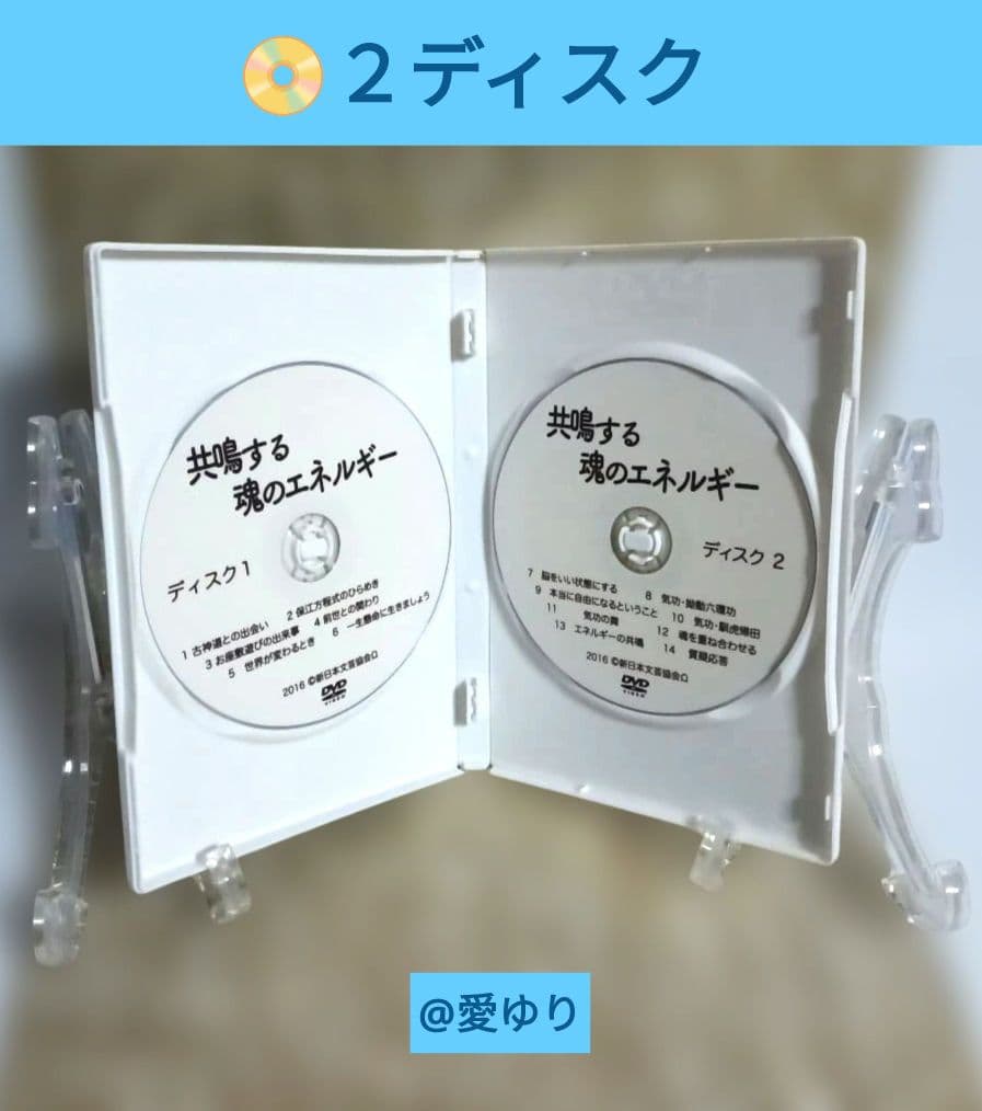 【希少】講演会DVD✨２枚組♦『共鳴する魂のエネルギー』⚜️保江邦夫⚜️中健次郎