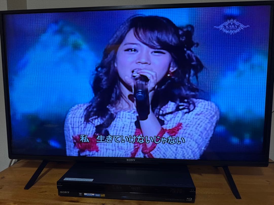 極美品・希少KARA SWEET MUSE GALLERY DVD フォトブック