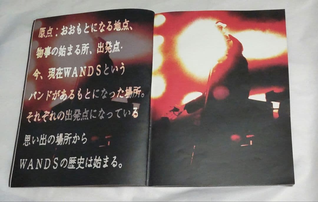 WANDS PIECE OF MY SOUL LIVE-JUNK #2 限定希少