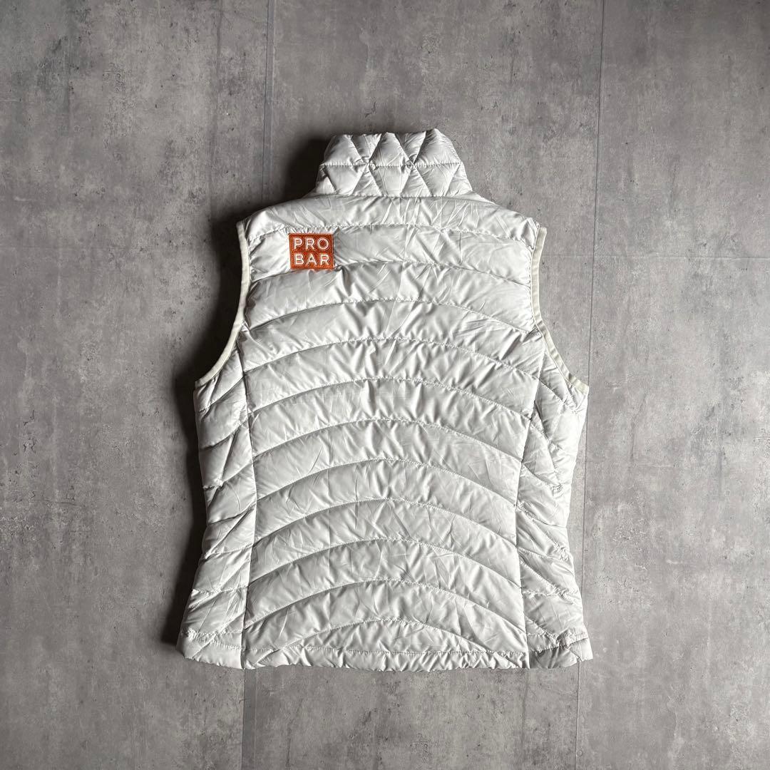【patagonia】ダウンベスト　グースダウン　企業　PROBAR y2k