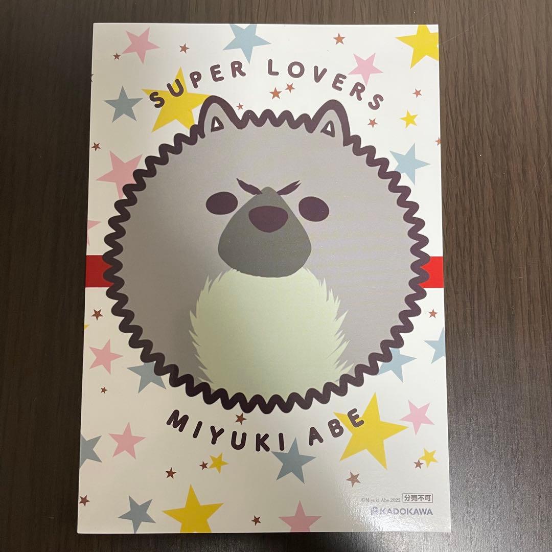 SUPER LOVERS 全巻　スーパーラバーズ1〜18巻＋小冊子1冊　あべ美幸