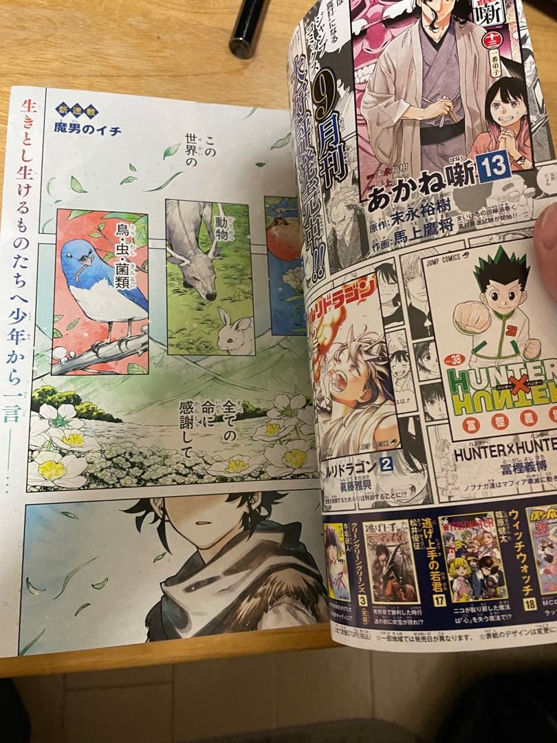 【新品未読品】週刊少年ジャンプ 2024年 41号　魔男のイチ　新連載