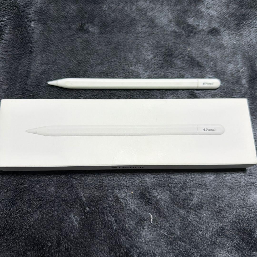 iPadアクセサリー Apple Pencil(USB-C)