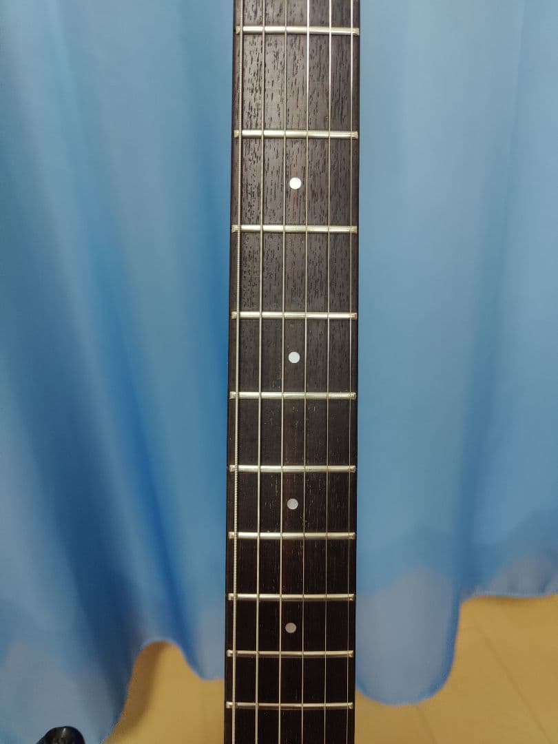 A*P様 aria pro2 the warrior エレキギター フロイドロー