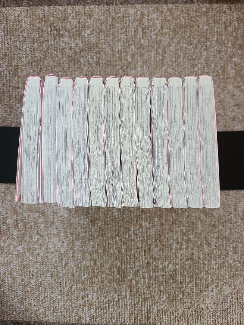 主人恋日記 全巻セット