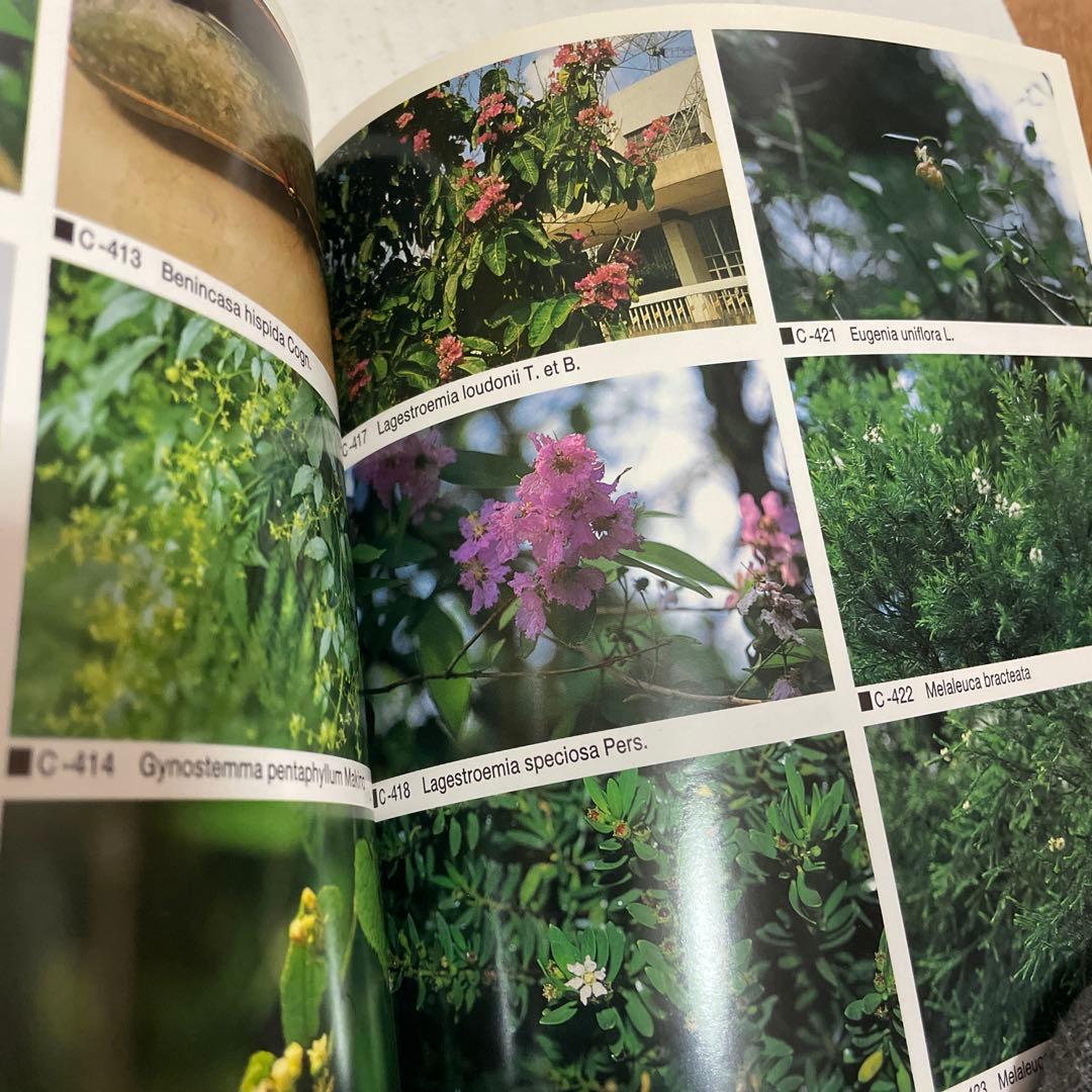 熱帯アジアの薬用植物