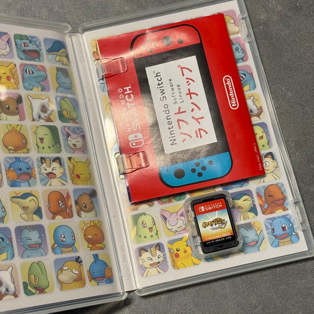 Nintendo Switchカセット(スプラトゥーン・ピクミン・ポケモン他)