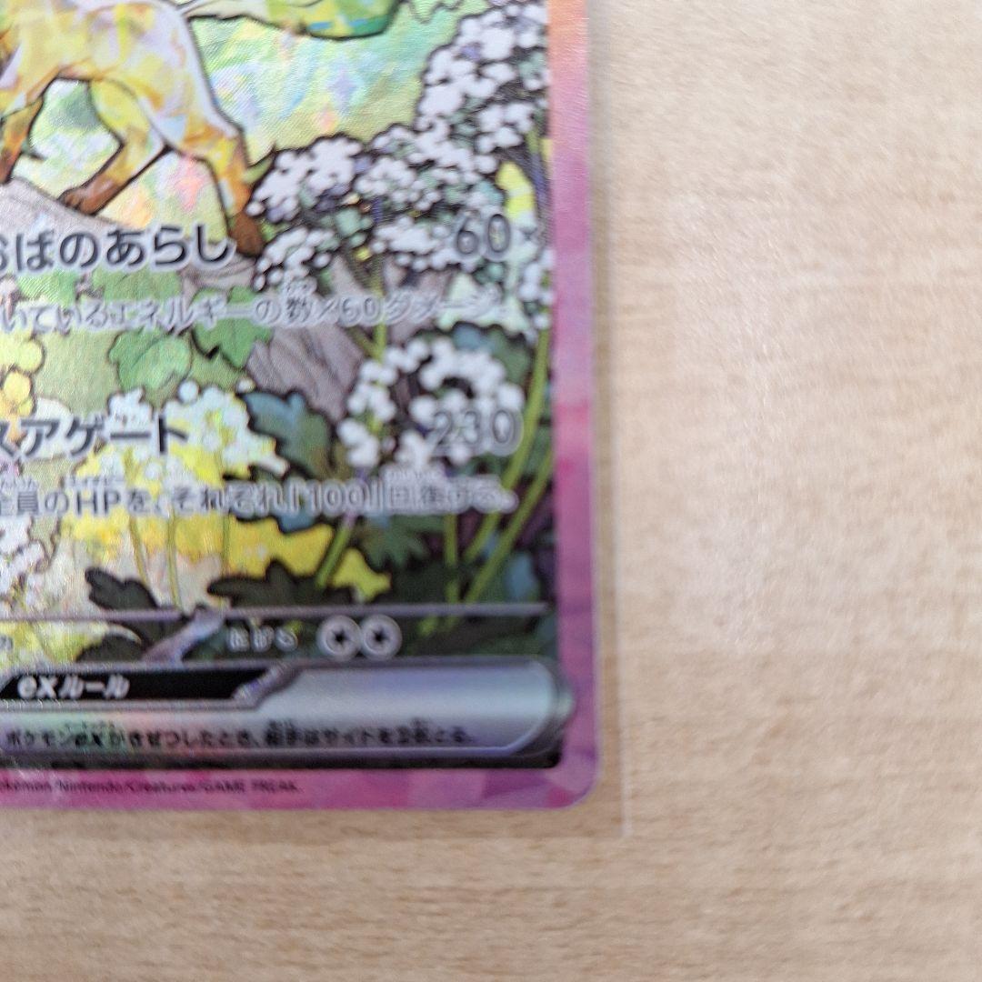 ポケモンカードゲーム　リーフィアex　SAR
