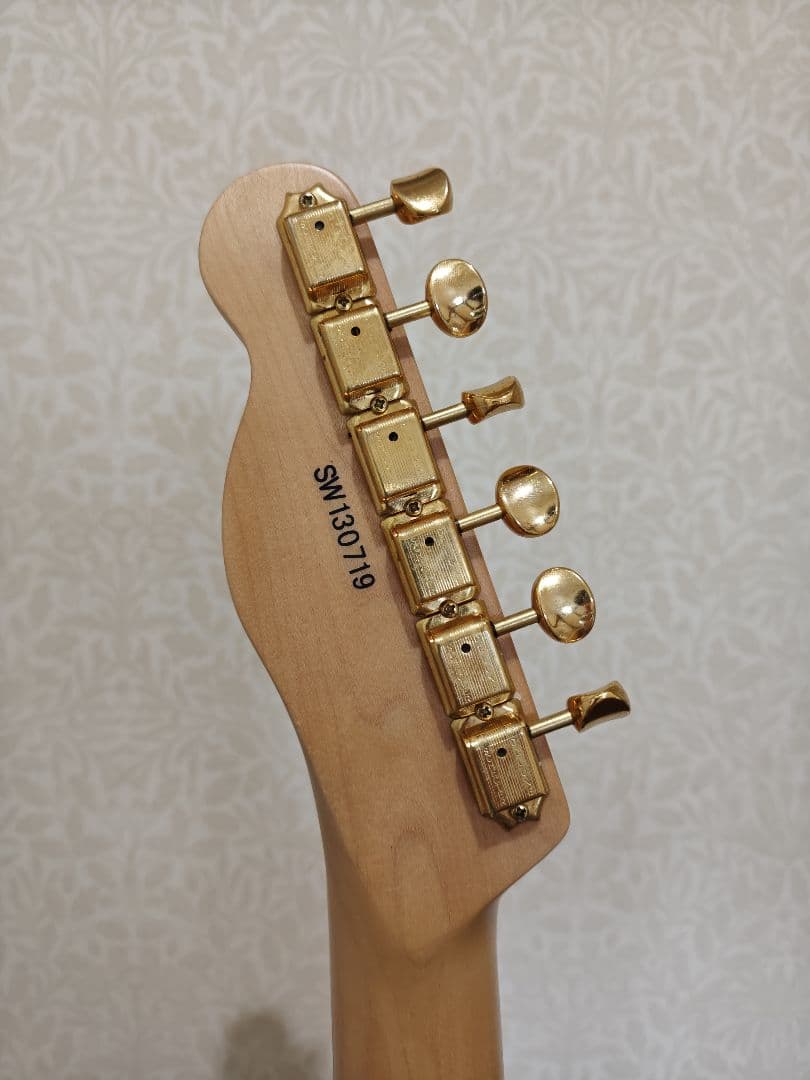 ギター Schecter Progauge Series PS-TL-N SWSB/R
