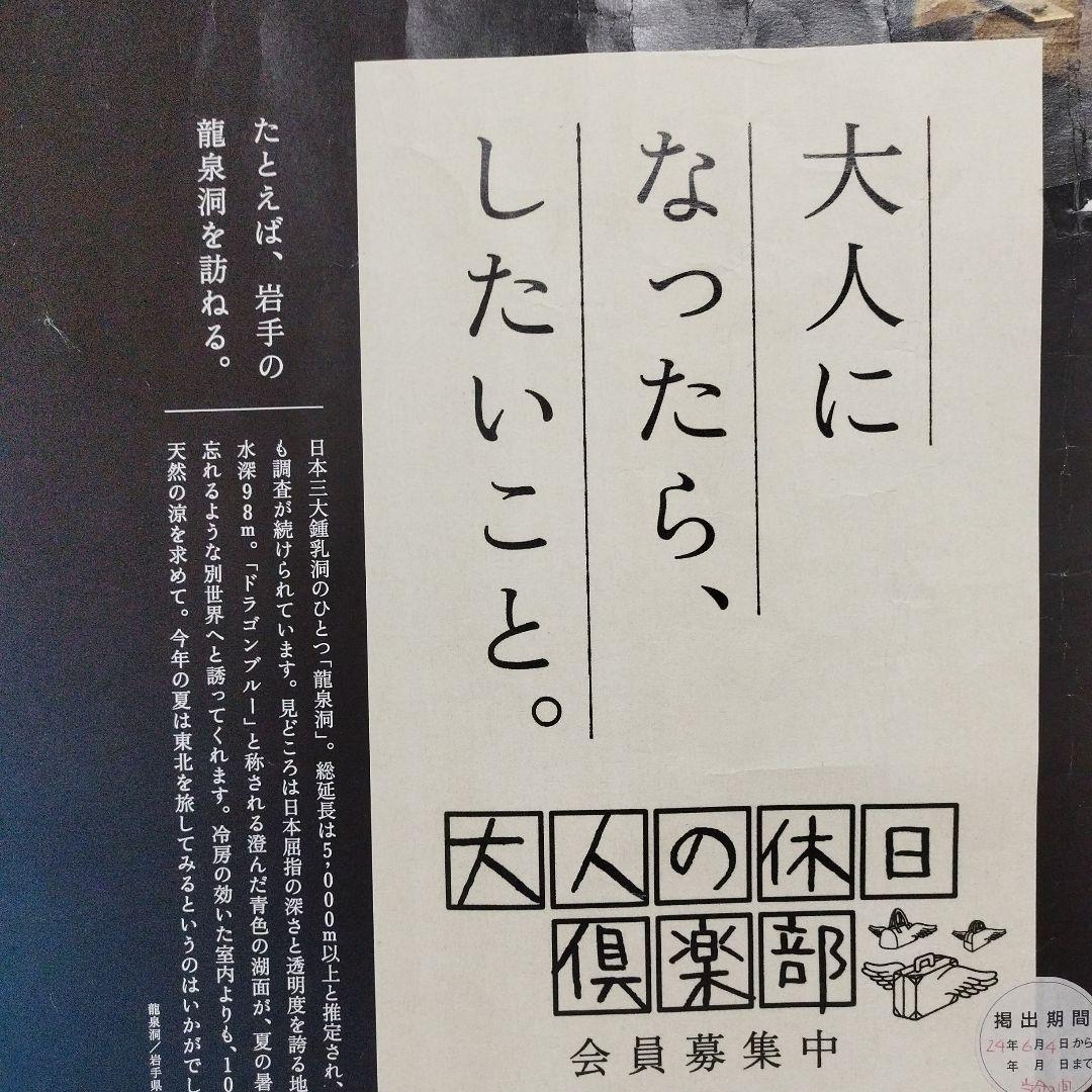 JR東日本 大人の休日倶楽部　吉永小百合 岩手県　龍泉洞　B0サイズ ポスター