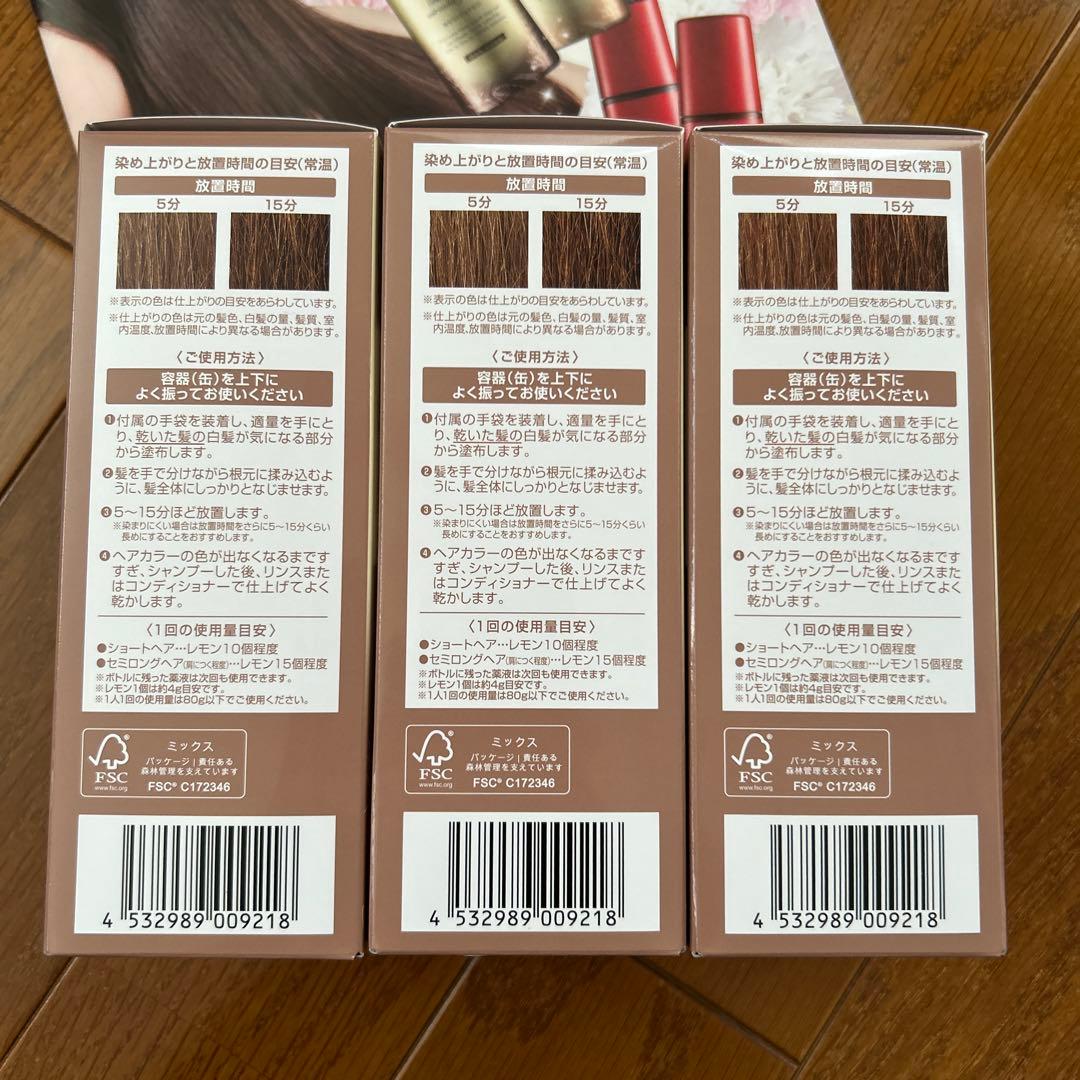 HAIR BEAUTE ÉCLAT ボタニカルエアカラーフォームEX 80g