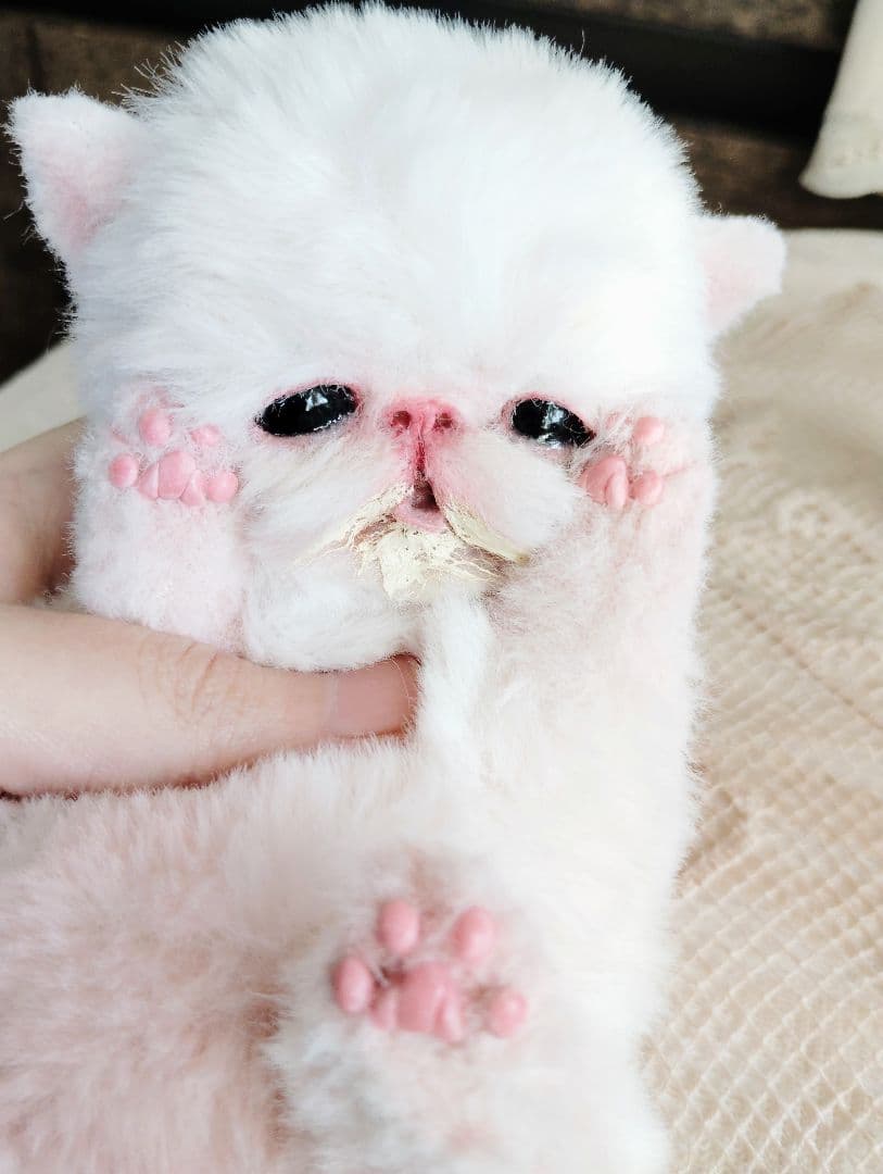 ママ〜ミルクちょうだい♡生後10日♡エキゾ子猫ちゃん♡アートドール♡ぬいぐるみ♡
