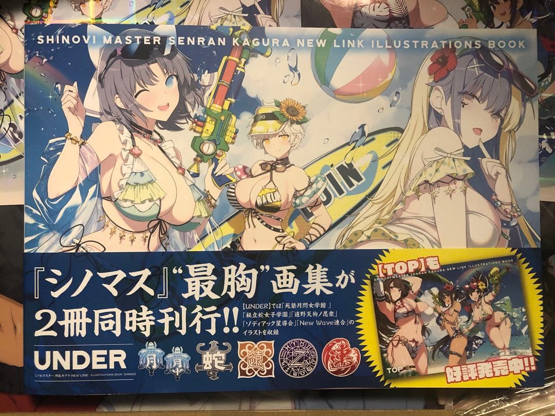 シノビマスター 閃乱カグラ NEW LINK ILLUSTRATIONSBOOK