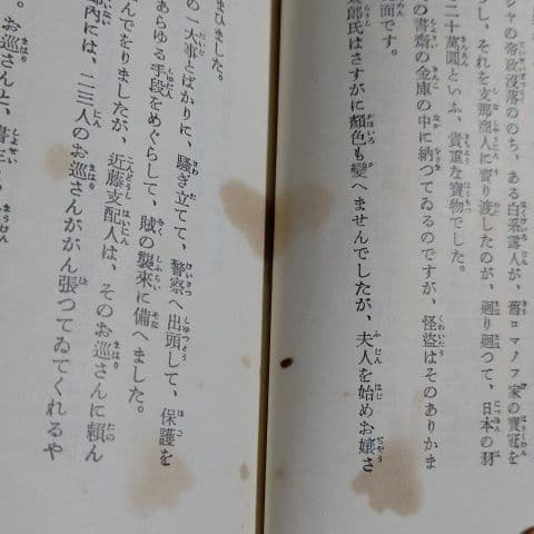 愛蔵復刻版　少年倶楽部名作全集　怪人二十面相