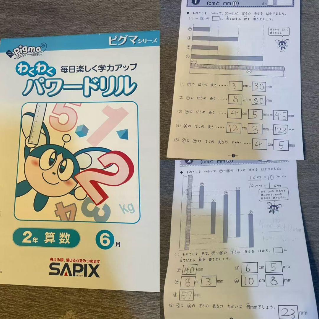 SAPIX 2年生 パワードリル ピグマ セット2023年版