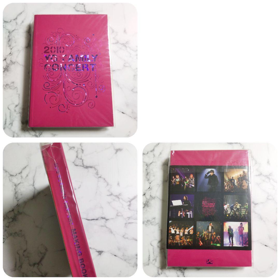 BIGBANG『2010 YG FAMILY CONCERT』DVD★中古