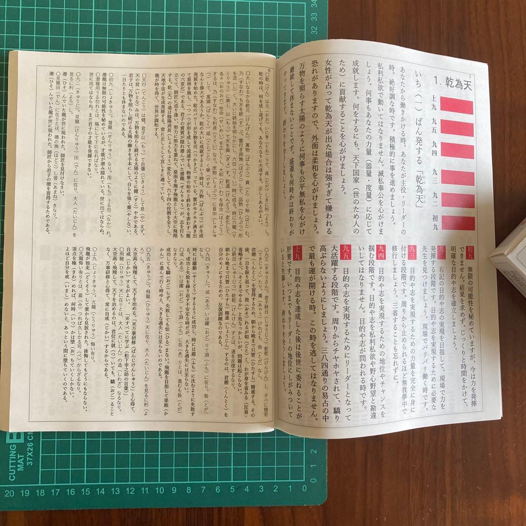 「語呂合わせで学ぶ　易占　易経入門（大判)」六十四卦カード(80枚版) タロット