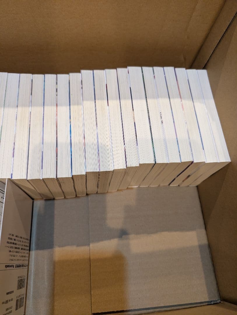 Re:ゼロから始める異世界生活 45冊セット 33巻 小説 ラノベ ライトノベル