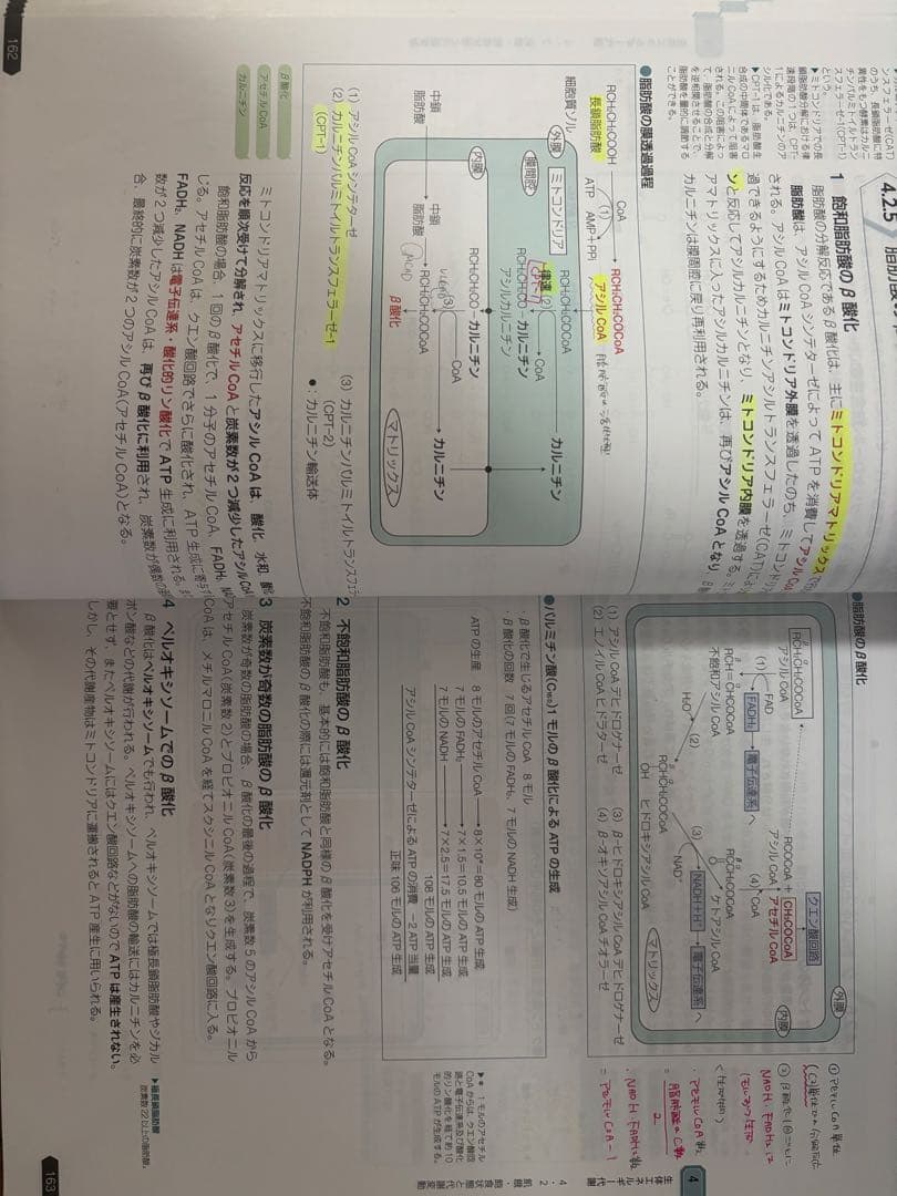 薬剤師国家試験111回青本青問18冊セット