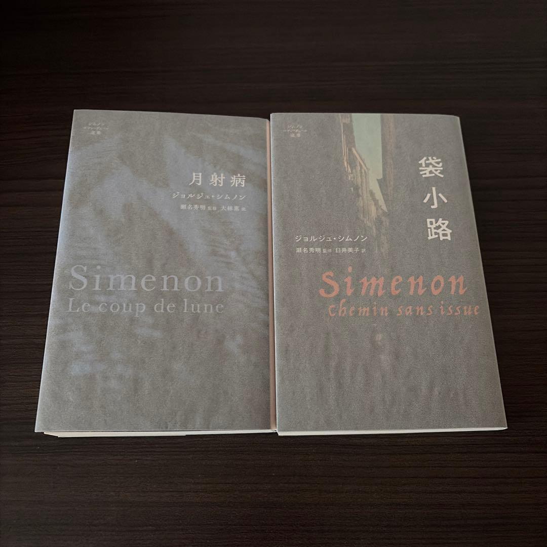 ジョルジュ・シムノン　9冊セット